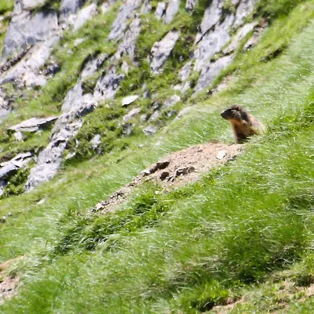 En Duplex A Cauterets, 2 Chambres, 7 Pers., Terrasse, Pres Des Remontees, Parking Inclus - Fr-1-401-6 Tatil Evi Cauterets