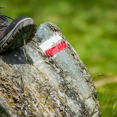 En Duplex A Cauterets, 2 Chambres, 7 Pers., Terrasse, Pres Des Remontees, Parking Inclus - Fr-1-401-6 Cauterets