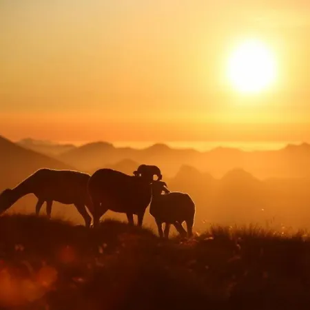 En Duplex A Cauterets, 2 Chambres, 7 Pers., Terrasse, Pres Des Remontees, Parking Inclus - Fr-1-401-6 * 코트레