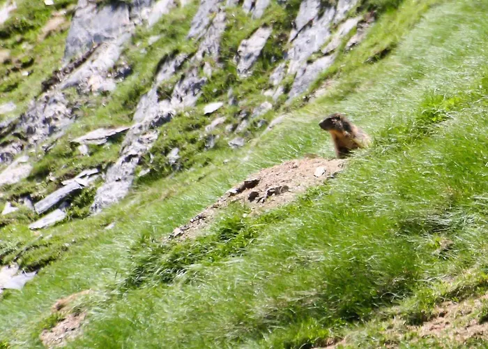 En Duplex A Cauterets, 2 Chambres, 7 Pers., Terrasse, Pres Des Remontees, Parking Inclus - Fr-1-401-6 Ferienhaus Cauterets